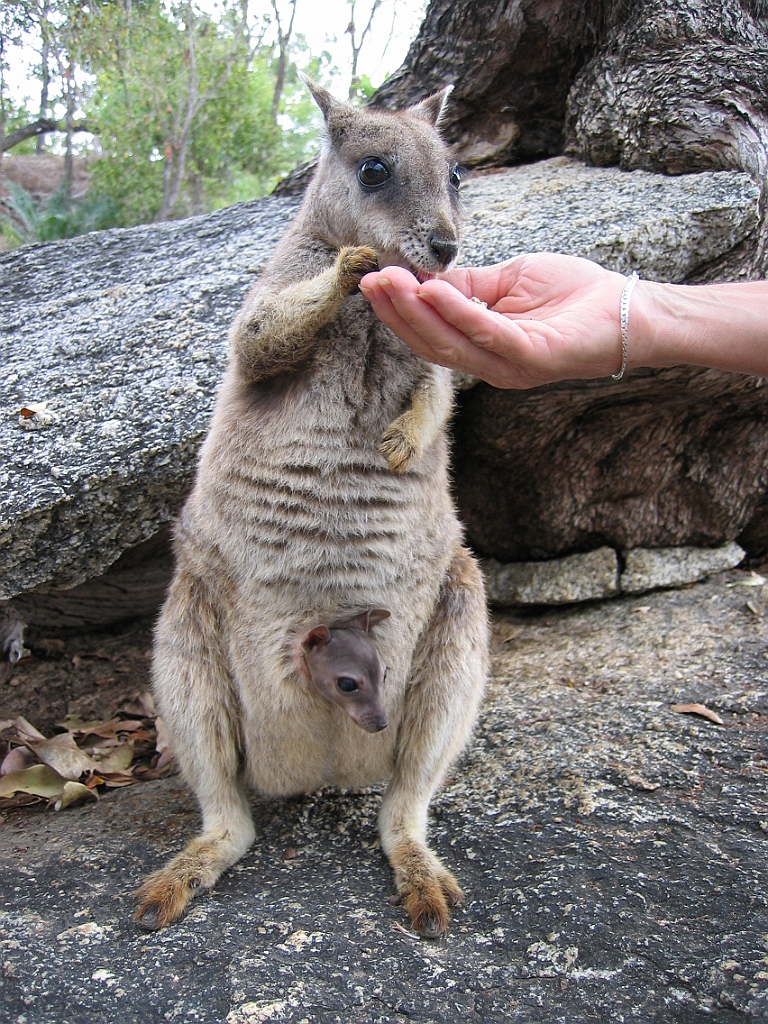 109 Granite Gorge.jpg